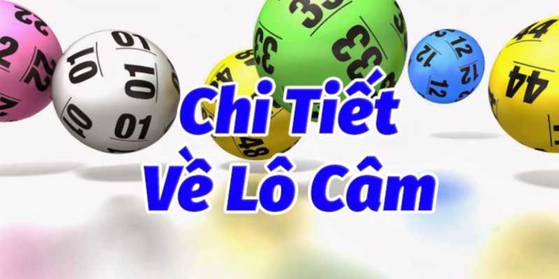 Bật Mí Bí Quyết Đánh Lô Câm Rikvip - Chiến Thuật Kinh Nghiệm Giúp Bạn Thành Công